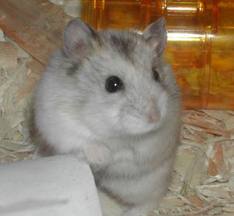 images--5-